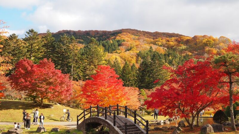 新中野ダム(ダム公園)