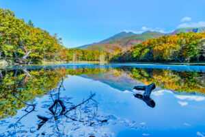 知床五湖の紅葉