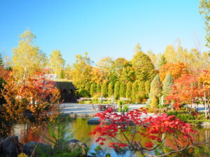 国営滝野すずらん丘陵公園