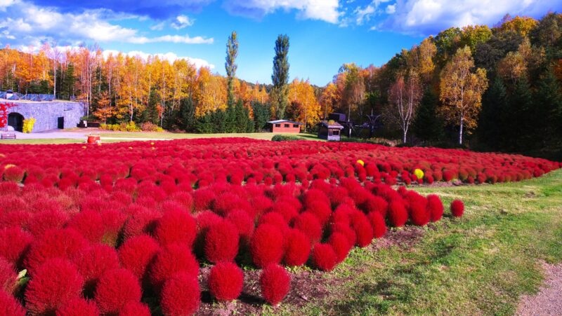 国営滝野すずらん丘陵公園