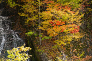 滝の上公園の紅葉