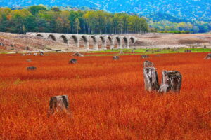 士幌線タウシュベツ川橋梁跡