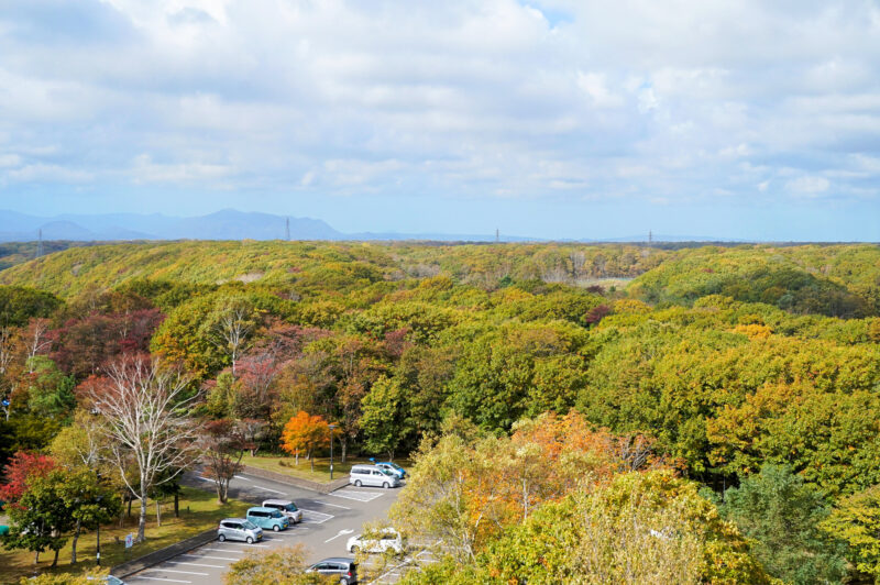 緑ヶ丘公園の紅葉