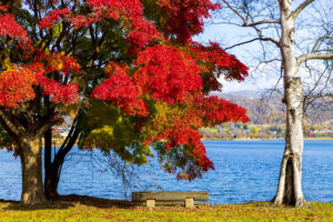 浮見堂公園