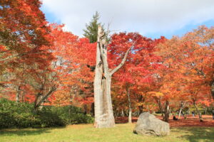 福原山荘の紅葉