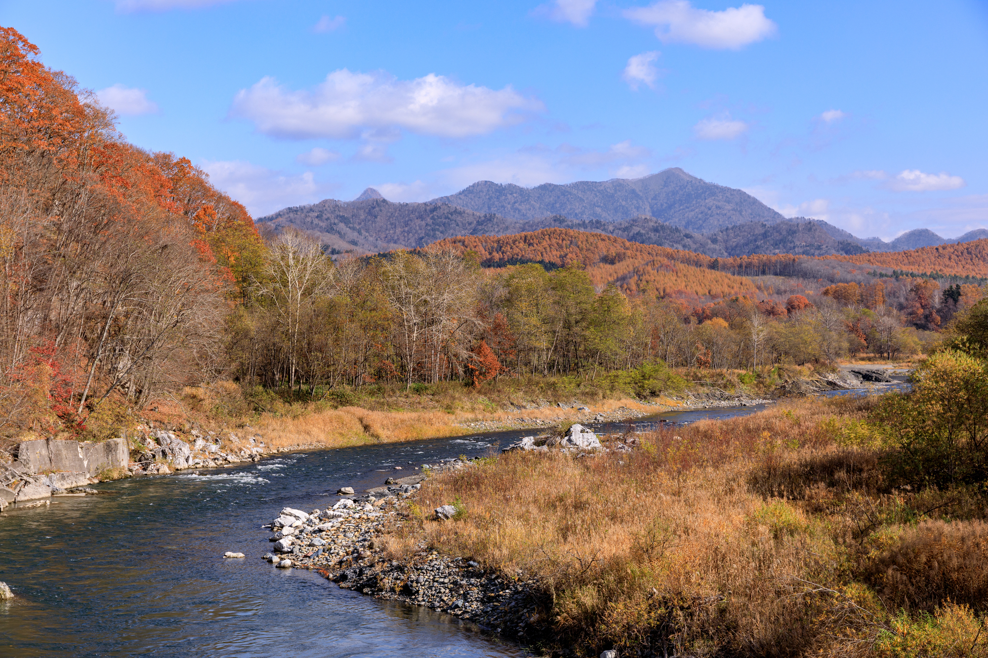 北海道平取町の紅葉名所一覧