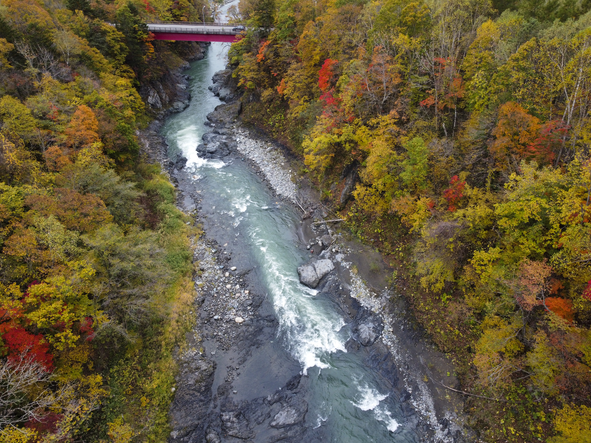 北海道日高町の紅葉名所一覧