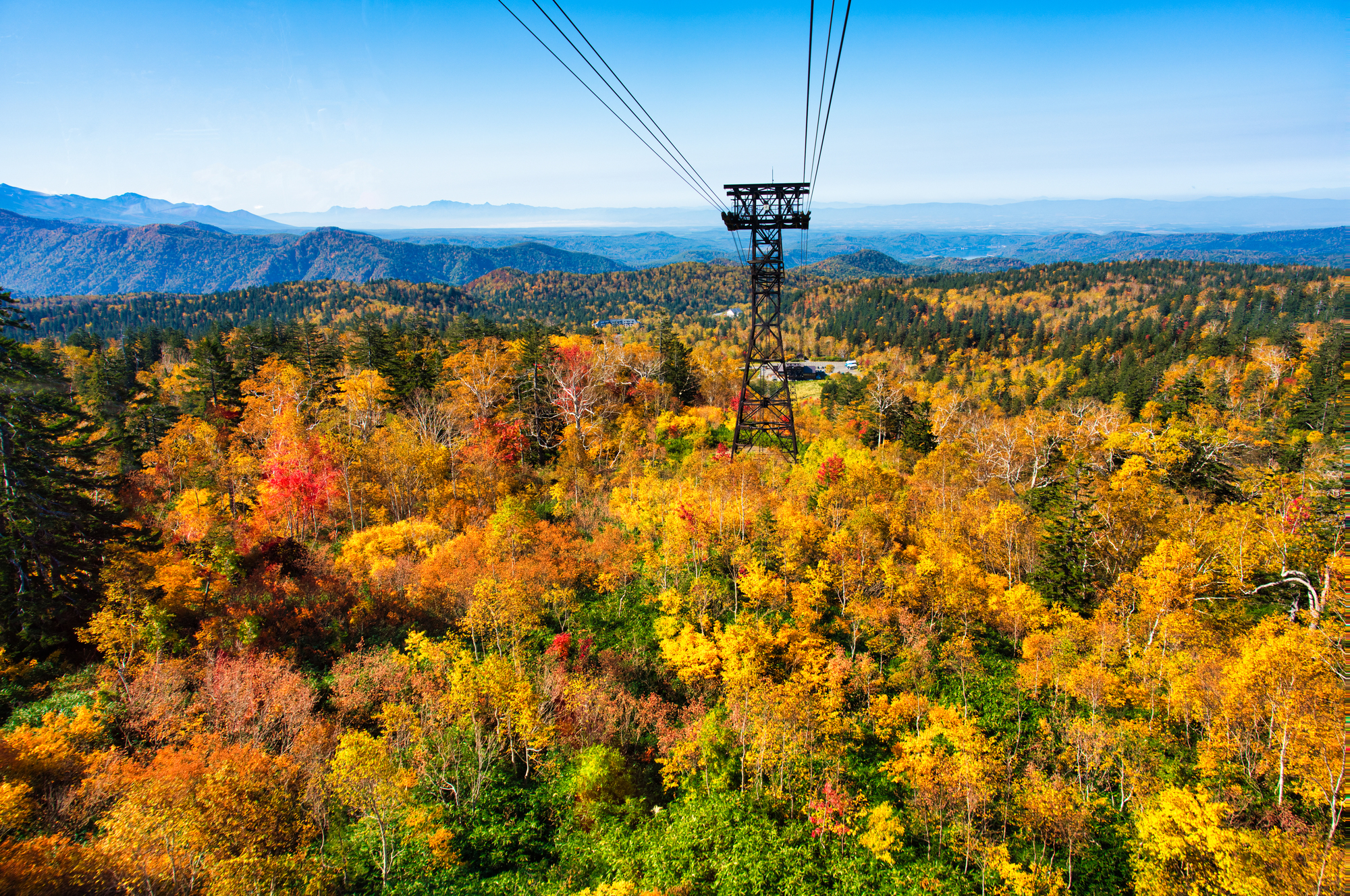 北海道東川町の紅葉名所一覧