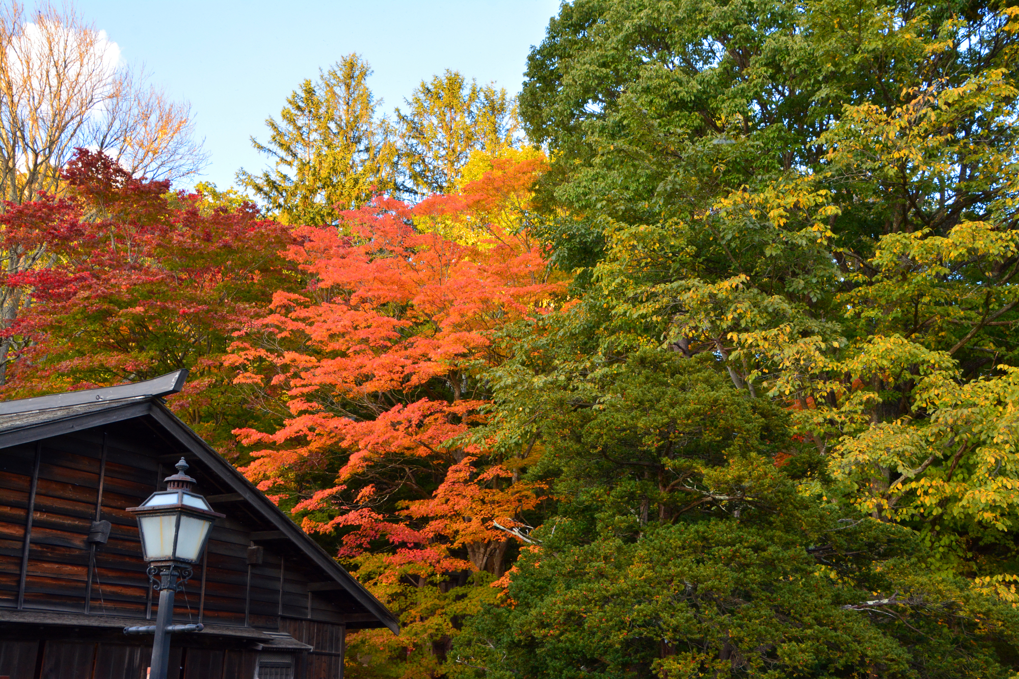 北海道北広島市の紅葉名所一覧