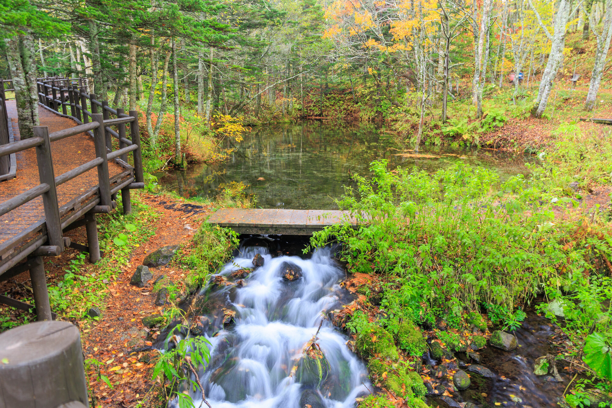 北海道清里町の紅葉名所一覧