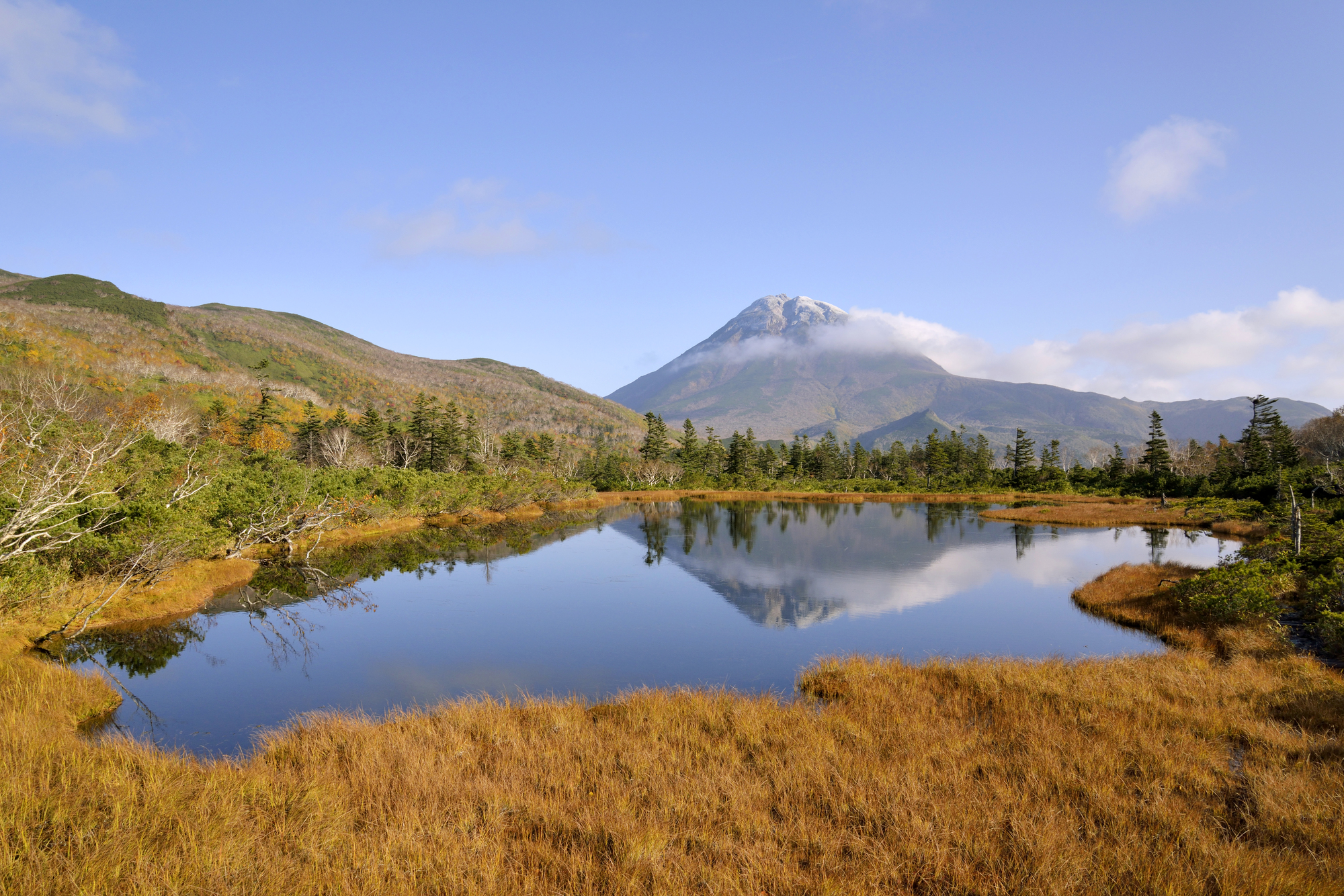 北海道羅臼町の紅葉名所一覧