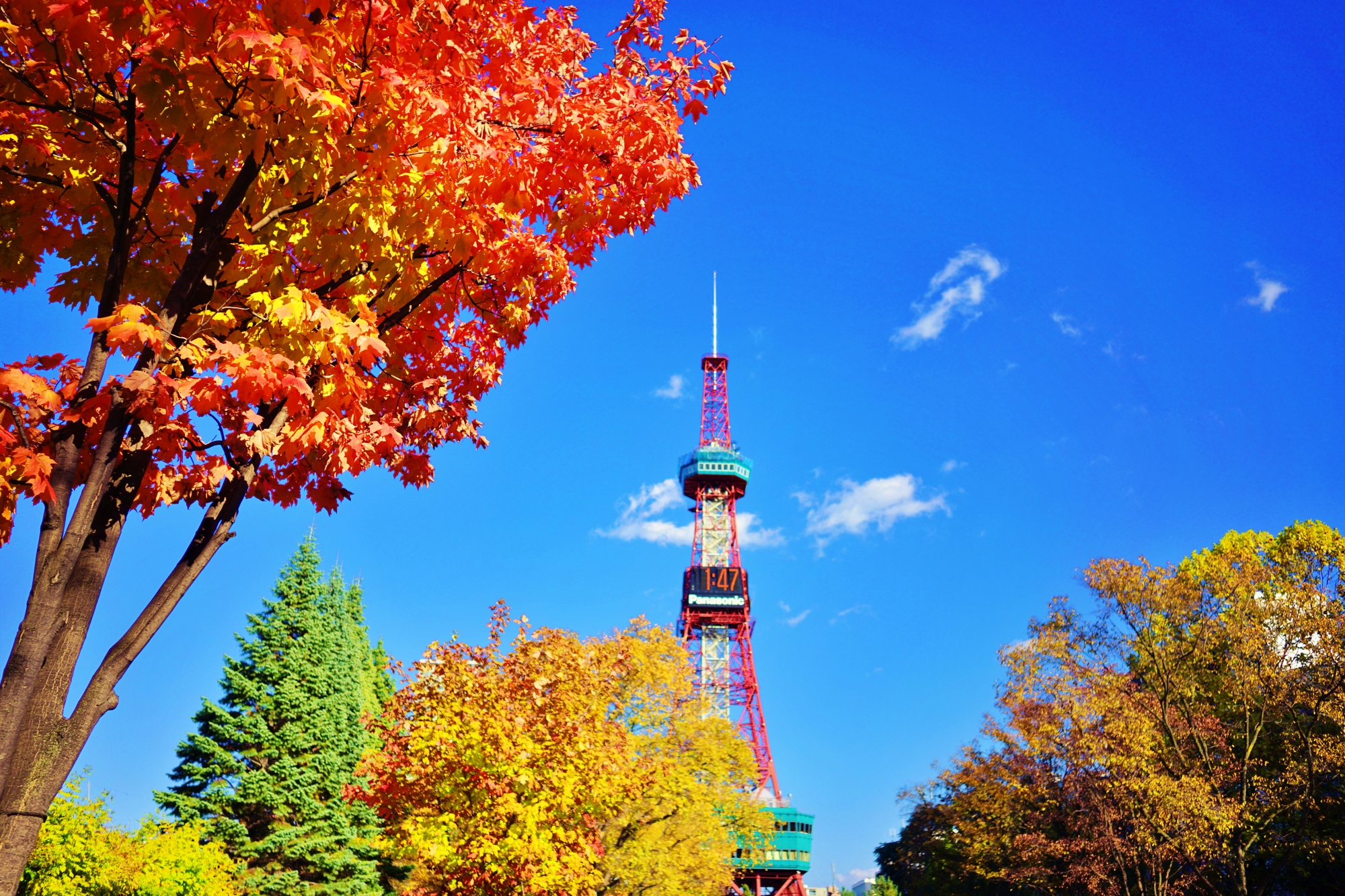 北海道札幌市中央区の紅葉名所一覧