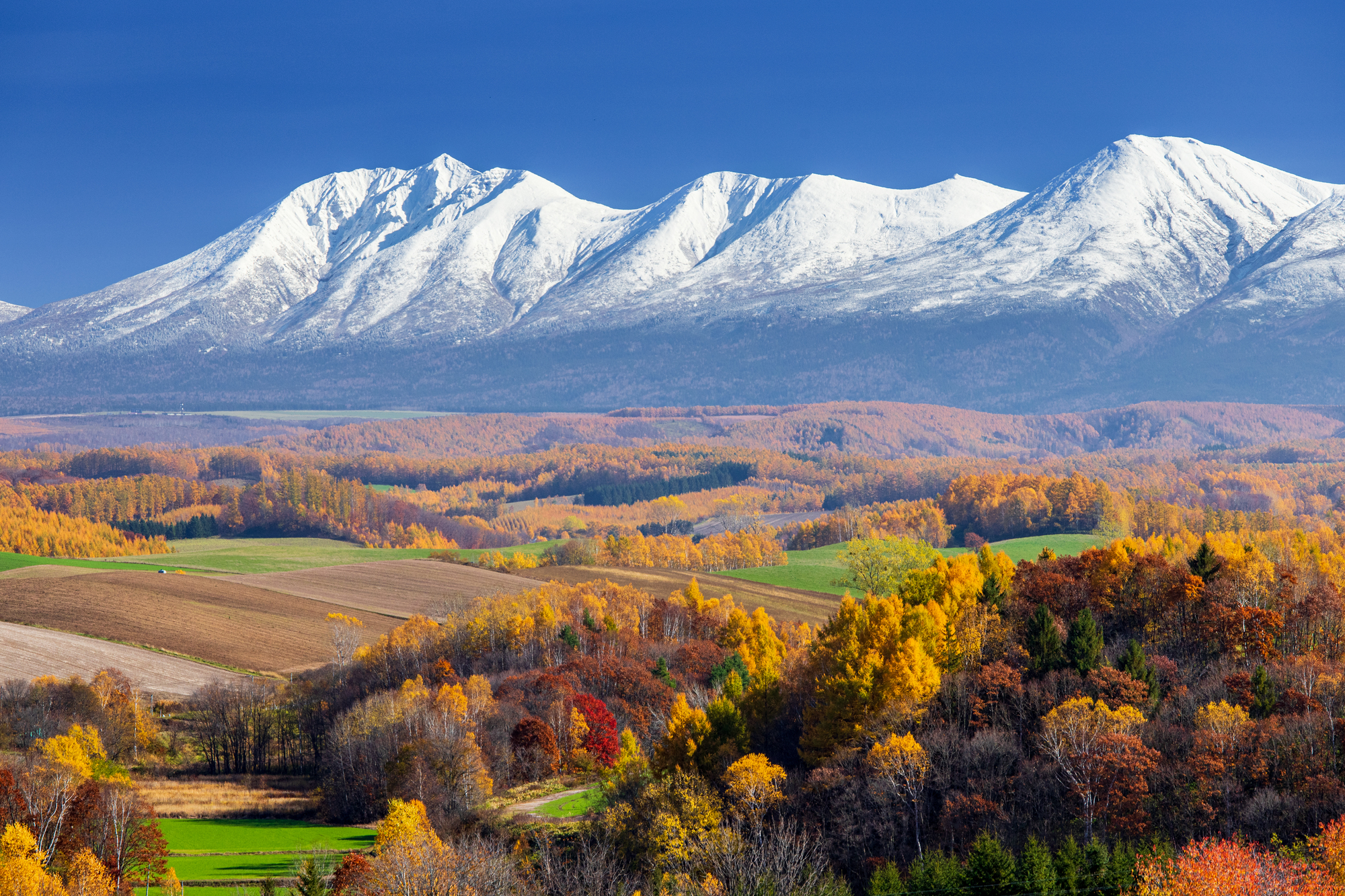 北海道の紅葉名所一覧