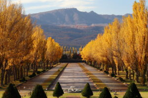 前田森林公園