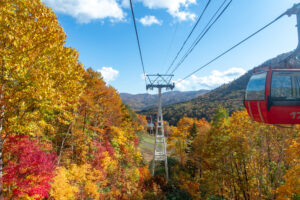 札幌国際スキー場の紅葉