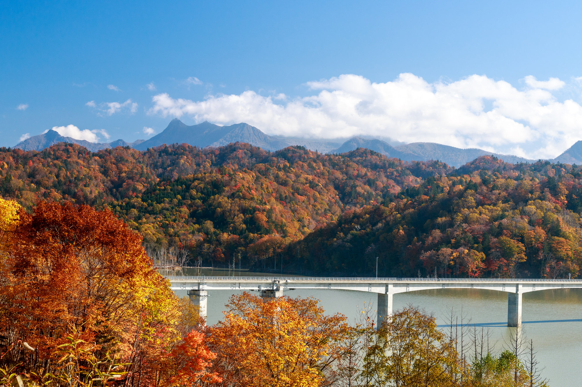 北海道夕張市の紅葉名所一覧