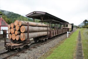 森林鉄道蒸気機関車雨宮21号後方