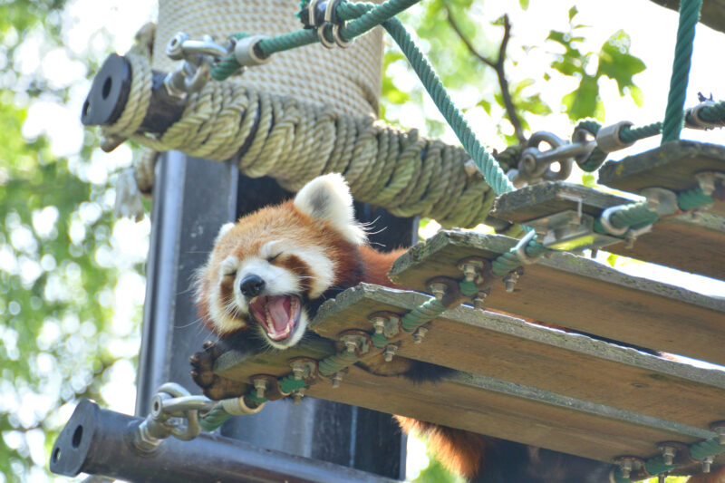 北海道の動物スポット一覧