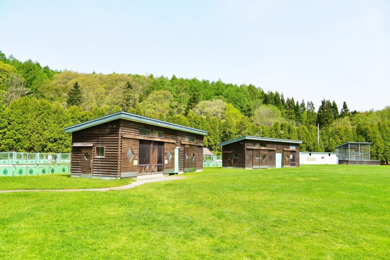 いわみざわ公園動物ふれあい広場