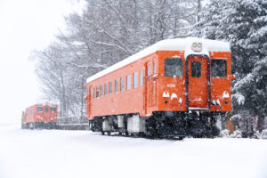 冬の幸福駅 キハ22 221と238