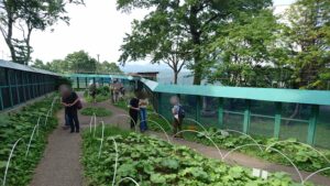 天狗山シマリス公園園内