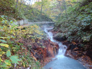 大湯沼川天然足湯