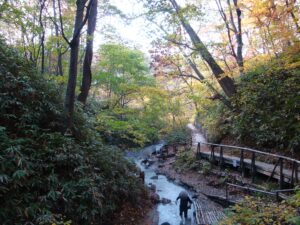 大湯沼川天然足湯