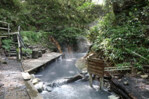 大湯沼川天然足湯