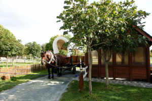 サッポロさとらんどふれあい牧場観光馬車