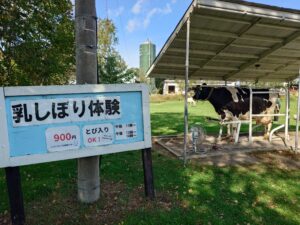 北海道箱根牧場乳しぼり体験