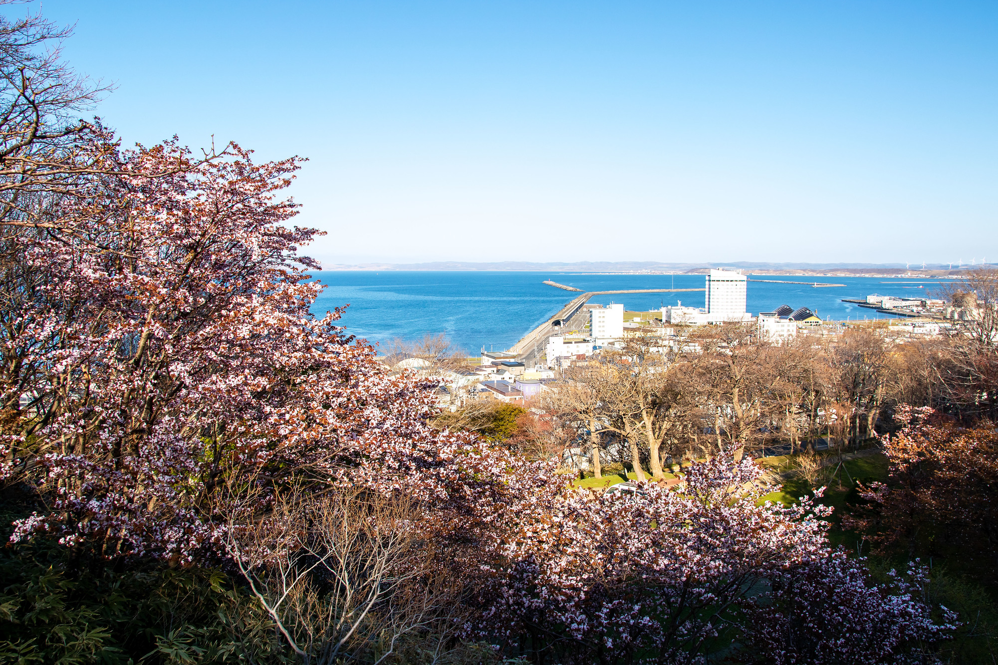 稚内公園